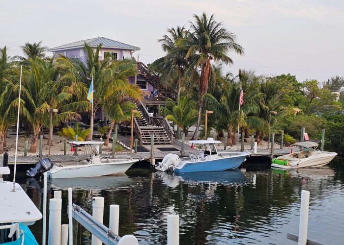 WhatsApp Image 2024-05-18 at 10.57.22 AM